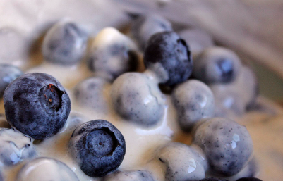 Review – VapeCraft Blueberry Custard
